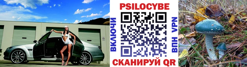 Галлюциногенные грибы мицелий  где можно купить   Устюжна 